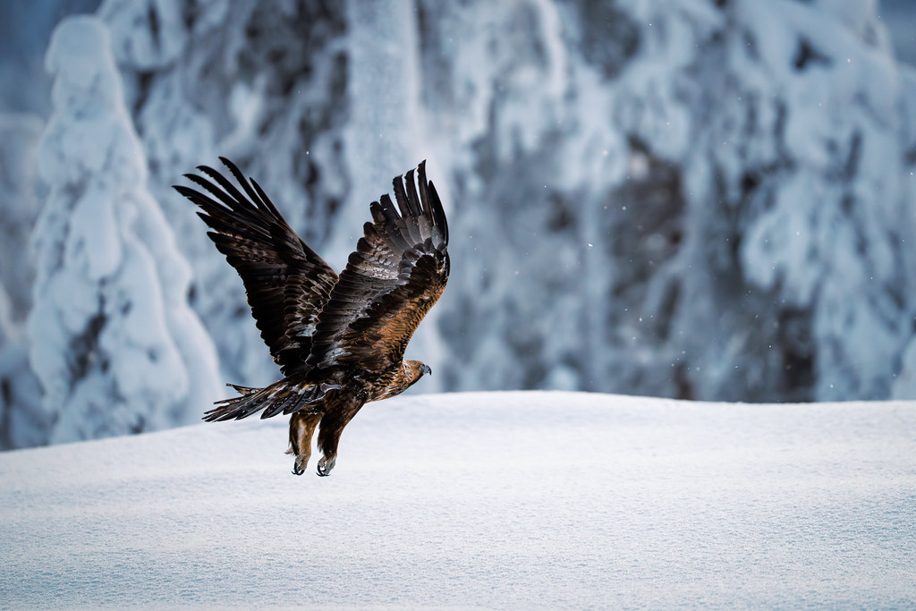 Taking Off