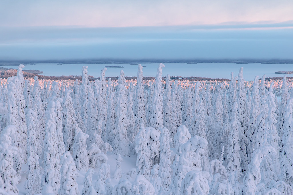 Riisitunturi National Park, Lapland
