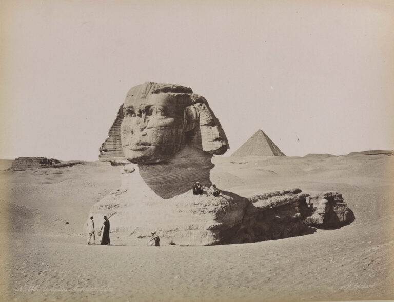 This International Museum Day, the museum comes to you