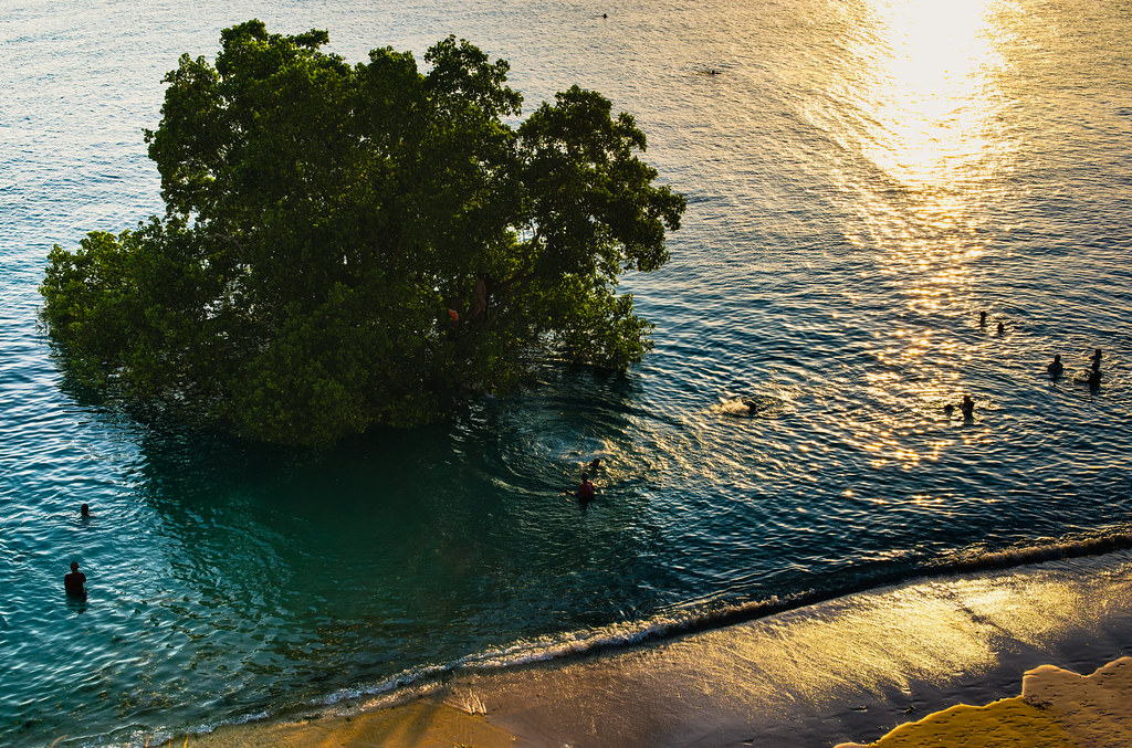 Zanzibar Bathers