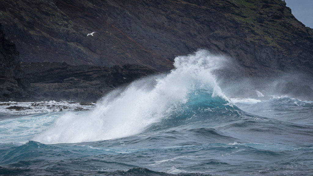 Untamed ocean
