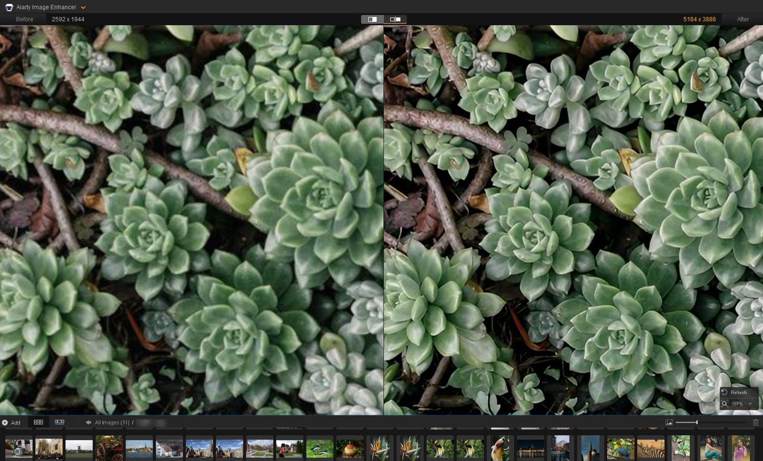 6 Best Photo Sharpening Software to Fix Blurry Images