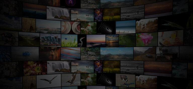 Keeping Flickr Safe: Our Inactive Account Policy