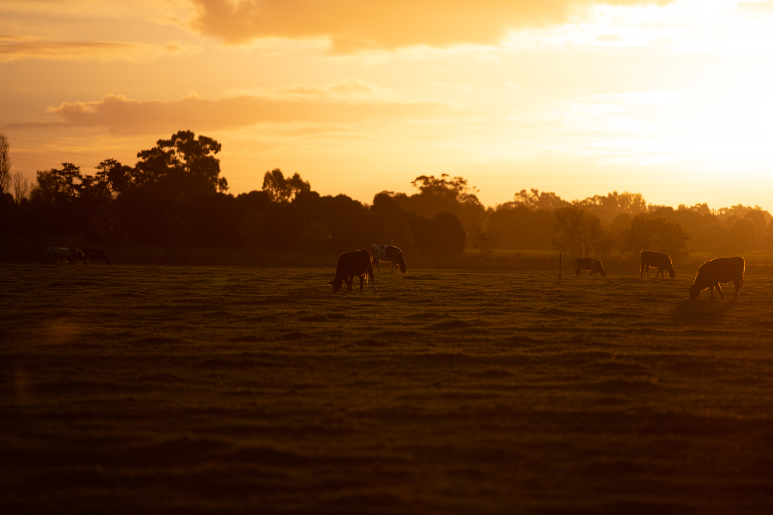 Spirit of the Bush Photography Competition returns for 2026