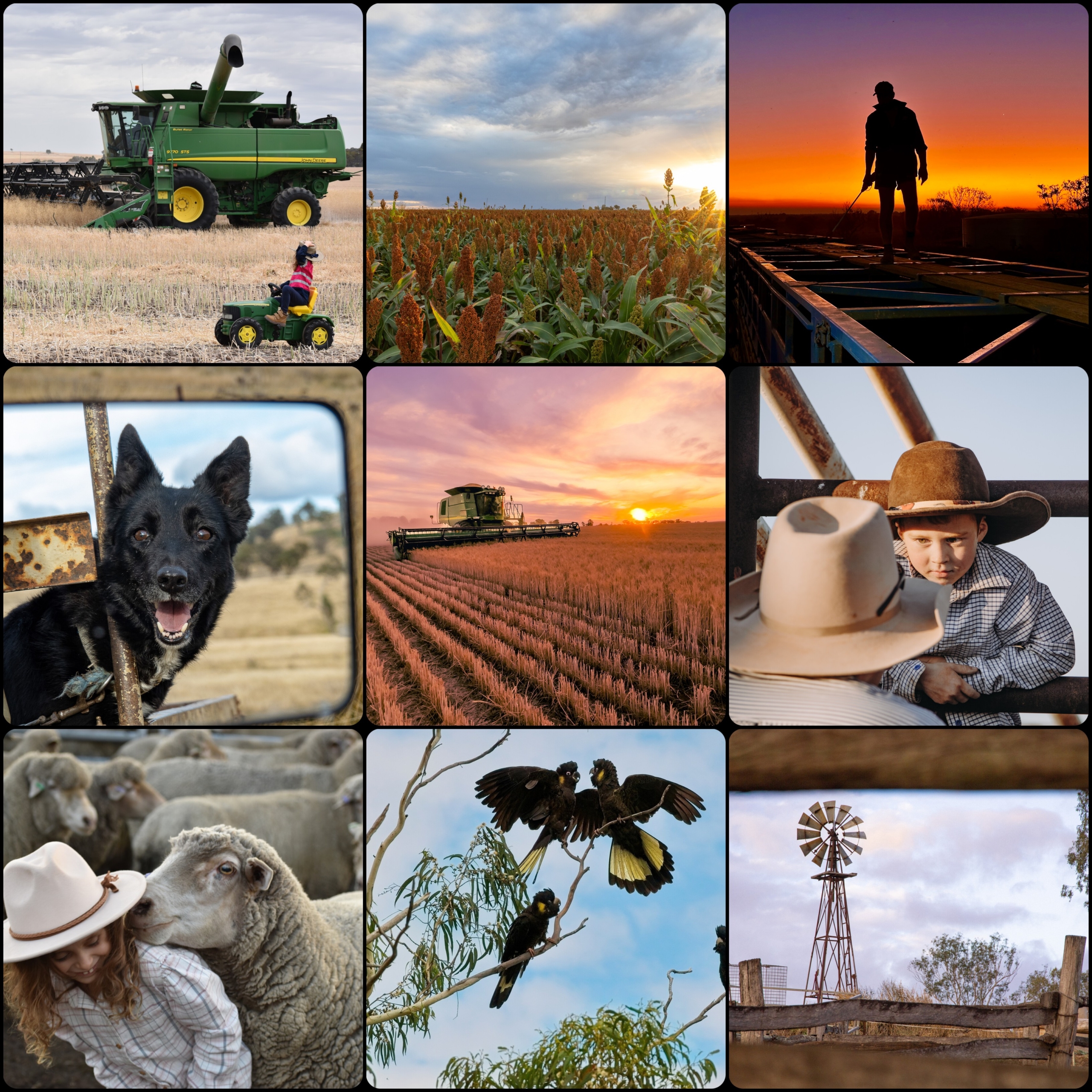 Spirit of the Bush Photography Competition returns for 2026