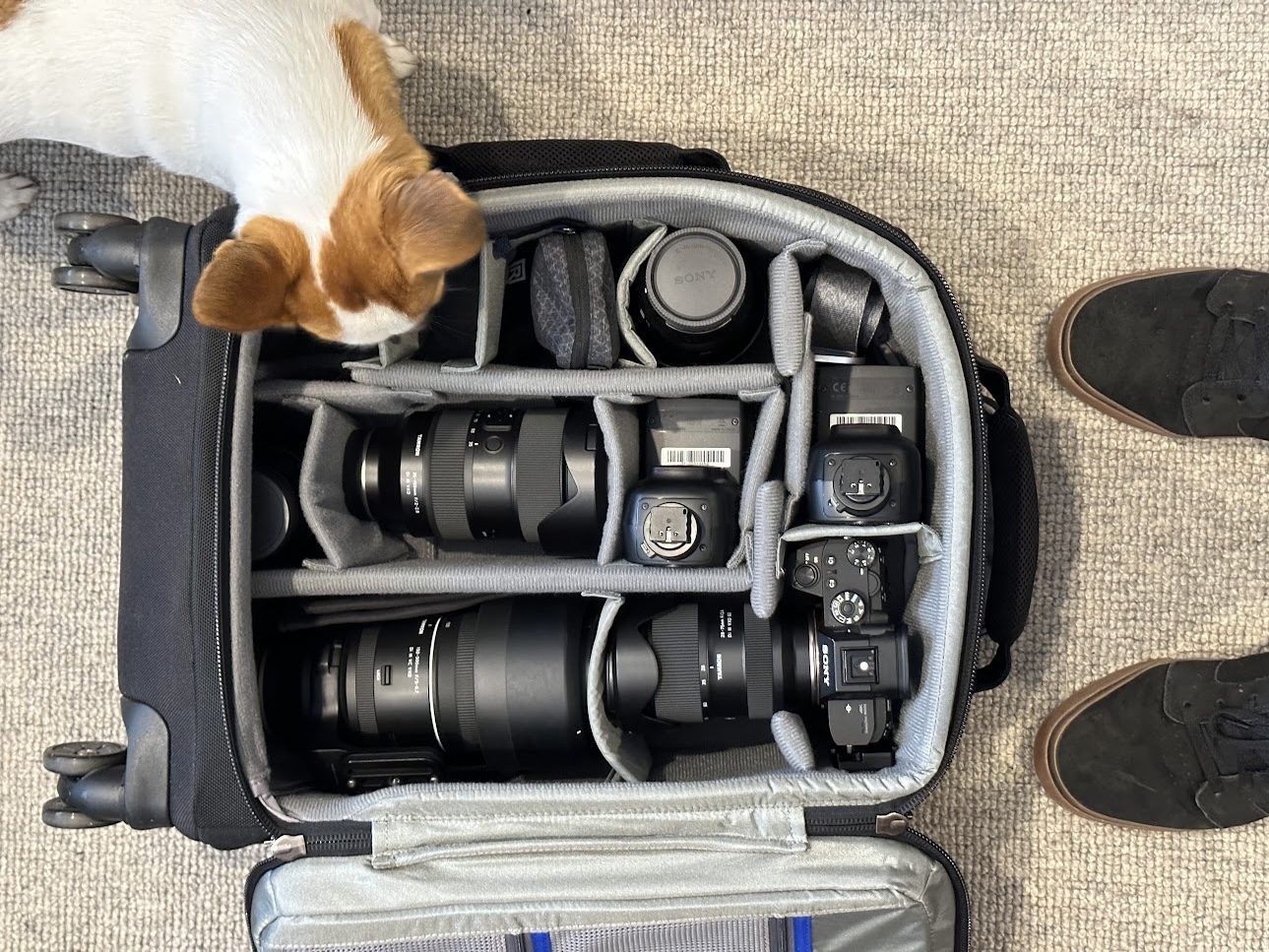 The Secret Lives of Camera Bags
