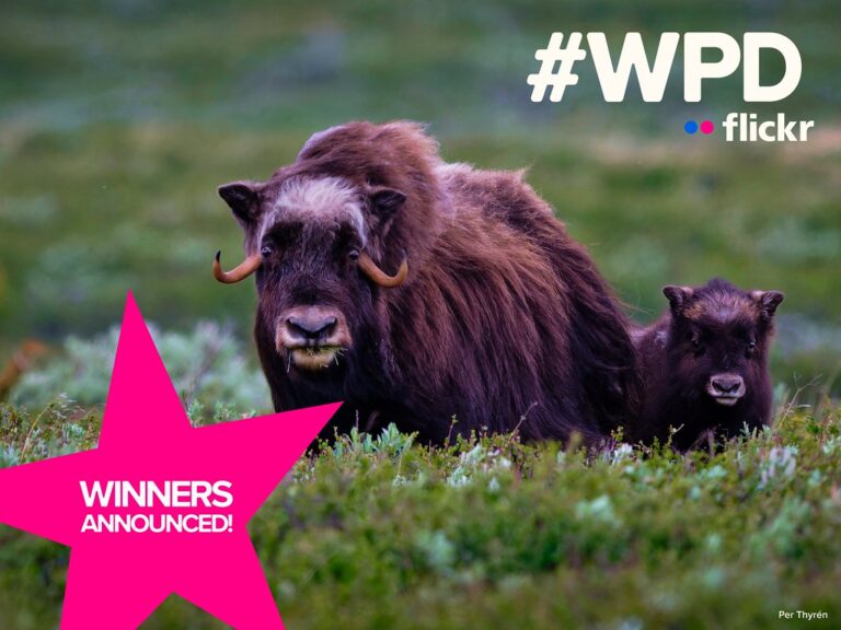 Congrats to Our World Photography Day 2026 Contest Winners