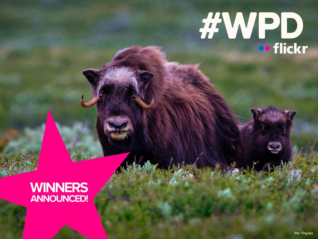 Meet the winners of our World Photography Day 2026 contest!