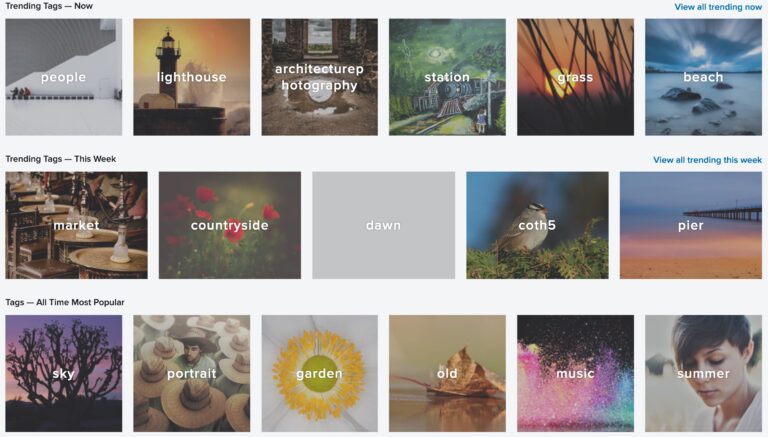 How to Tag Your Photos on Flickr (and why it matters)